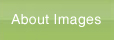 About Images